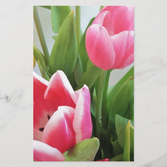 Pink Tulips, Floral Spring Bouquet, Flowers Stationery (Front)