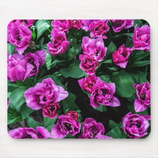 Pink tulips flowers mouse pad (Front)