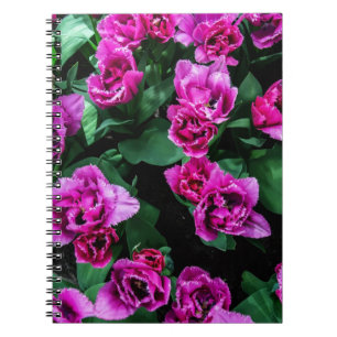 Pink tulips flowers notebook