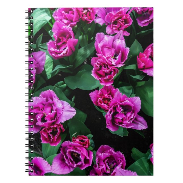 Pink tulips flowers notebook (Front)