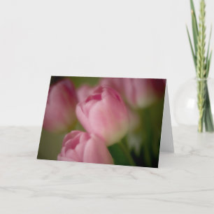 Pink Tulips - Greeting Card