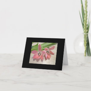 Pink Tulips Holiday Card