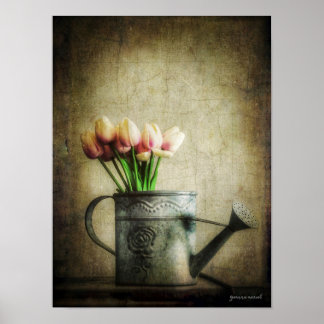 Pink Tulips in Watering Can Poster