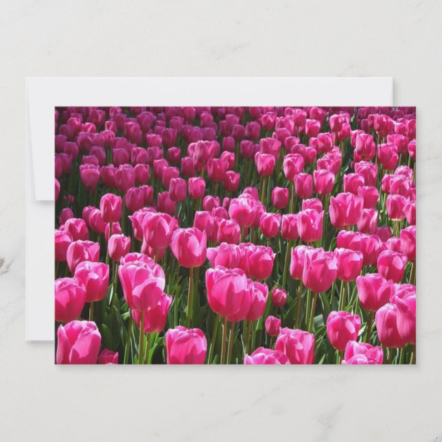Pink Tulips Invitation (Front)