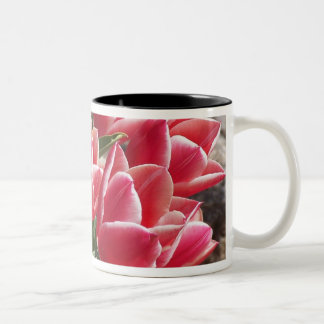 Pink Tulips Mug