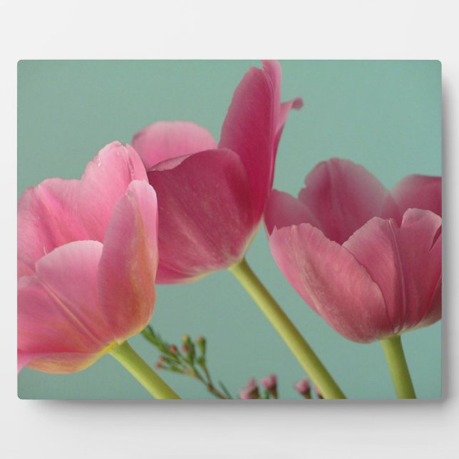 Pink Tulips on Turquoise Plaque (Front)