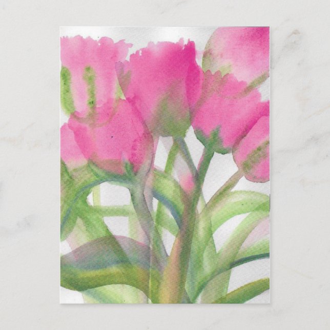 Pink Tulips Postcard (Front)