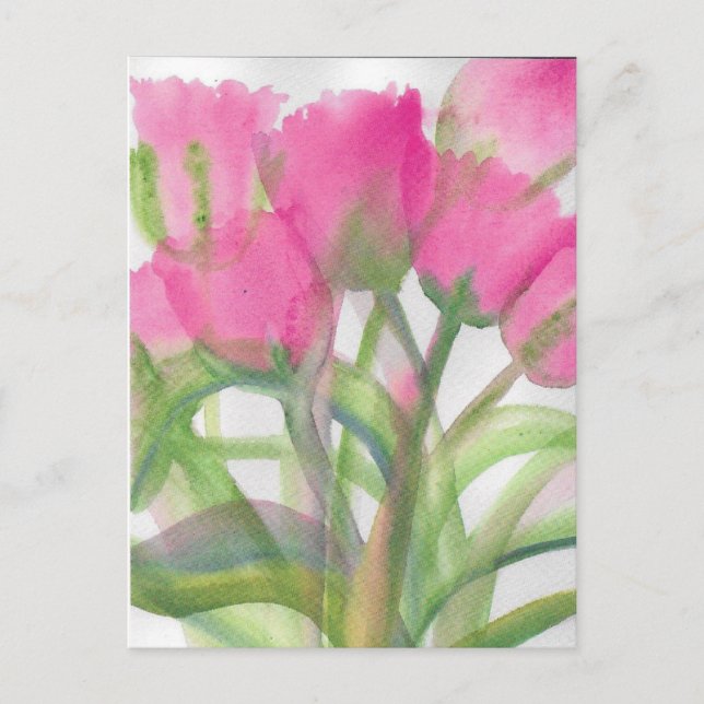 Pink Tulips Postcard (Front)
