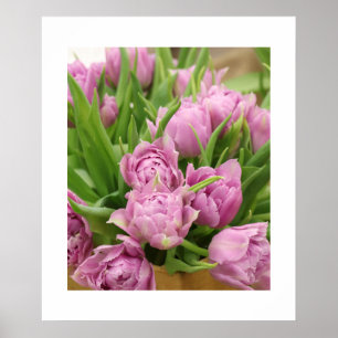 Pink Tulips Poster