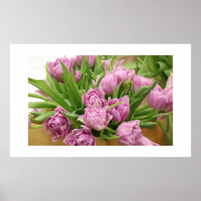 Pink Tulips Poster (Front)