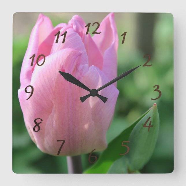 pink tulpis flower spring blossom square wall clock (Front)
