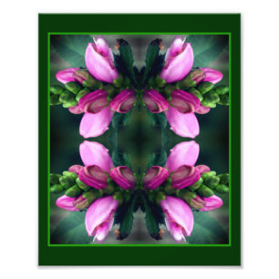 Pink Turtlehead Flower Mirror Abstract 8x10 Photo Print