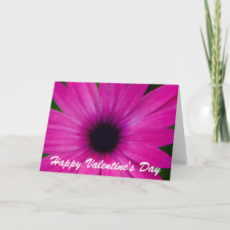 pink valentine's holiday card