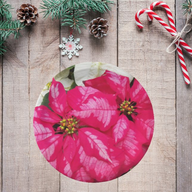 Pink Variegated Poinsettias Holiday Paper Plate (In Situ Holiday)
