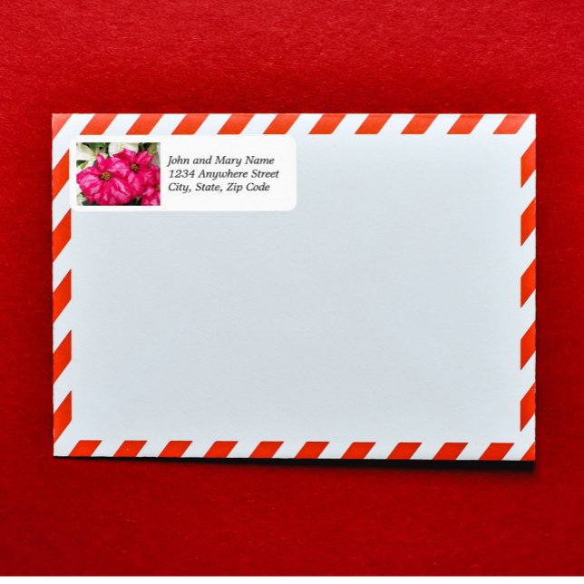 Pink Variegated Poinsettias Return Address (In Situ Envelope)