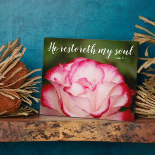 Pink Variegated Rose Psalm 23:3 Scripture Plaque