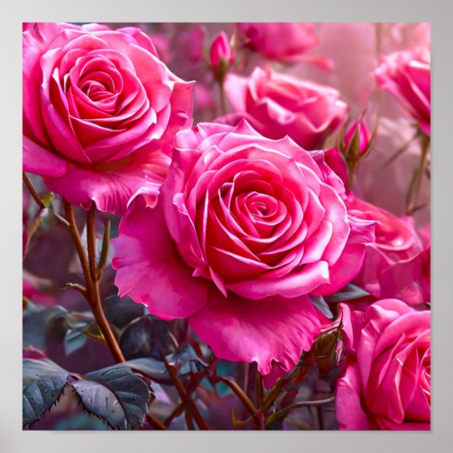 Pink vibrant roses poster (Front)