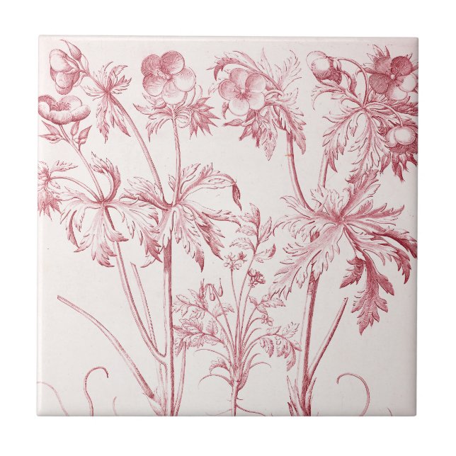 Pink Vintage Botanical Art Tile (Front)