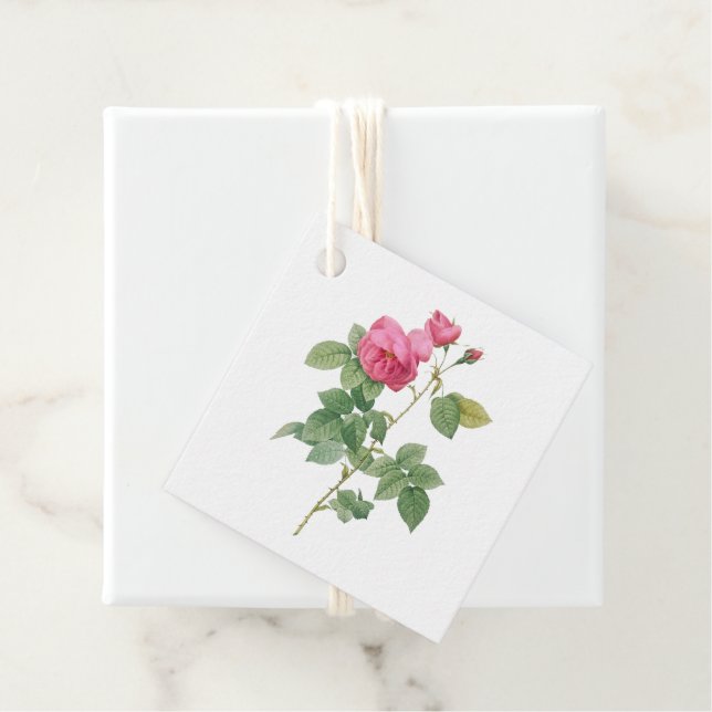 Pink Vintage Rose Botanical Favour Tags (In Situ)