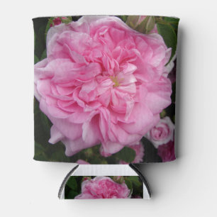 Pink Vintage Rose floral Flowers Can Cooler