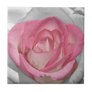 Pink vintage rose print tile