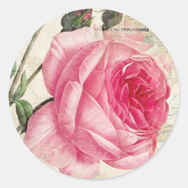 Pink Vintage Rose Stickers (Front)