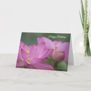 Pink Water Lilies Birthday Card