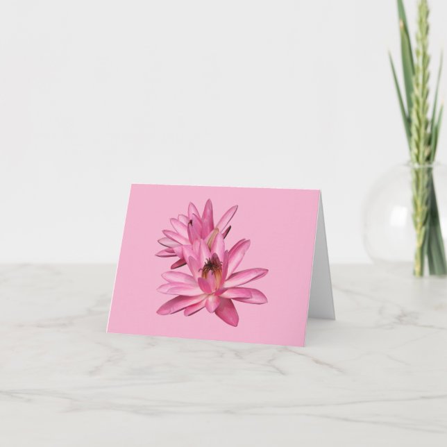Pink  Water Lilies Blank Note Greeting Cards (Front)