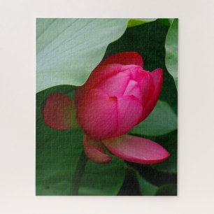 Pink Water Lily against the Leaves Jigsaw Puzzle