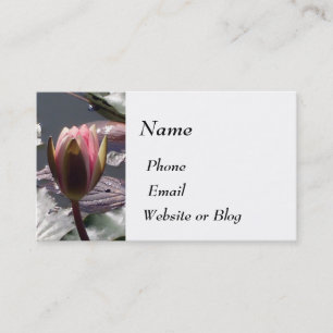 Pink Water Lily Business Card
