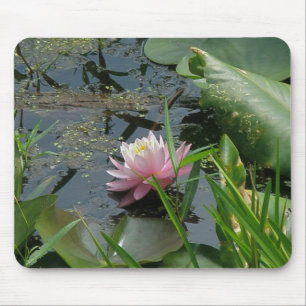 Pink Water Lily Coordinating Items Mouse Pad
