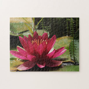 Pink water lily jigsaw puzzle