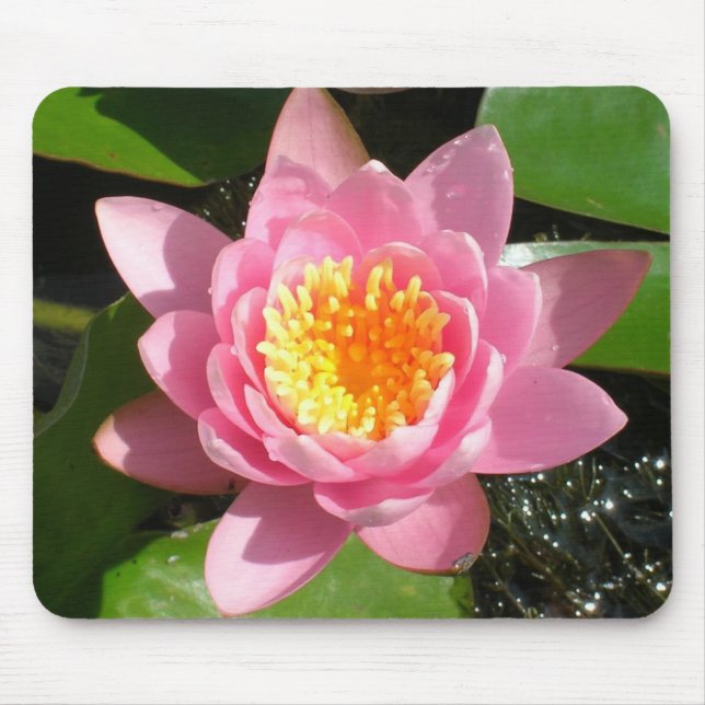 Pink Water Lily Mouse Pad (Front)