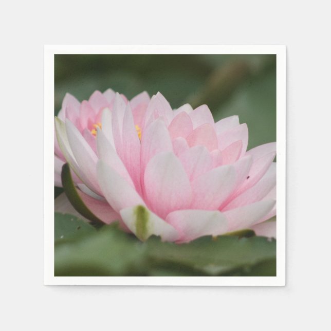 Pink Water Lily Napkin (Front)