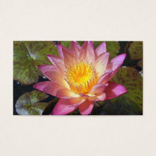 Pink Water Lily Photograph Business Card