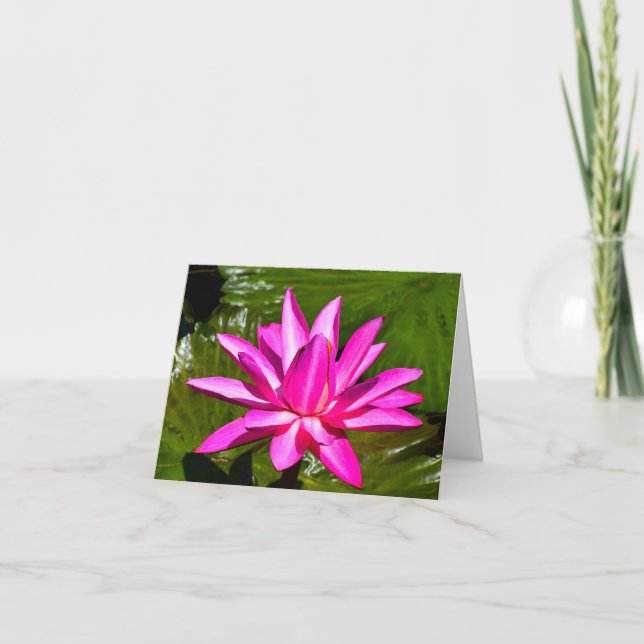 Pink Water Lily Waterlily Note Card (Front)