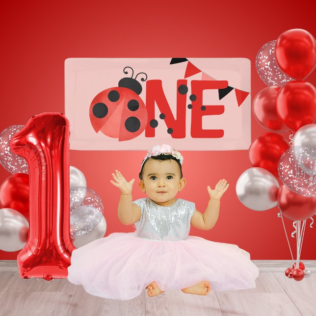 Pink Watercolor ONE Ladybug Birthday Mini Banner (Light Pink Salmon Mini Watercolor Ladybug ONE Hanging Vinyl Banner for Photoshoot or Cake Smash)
