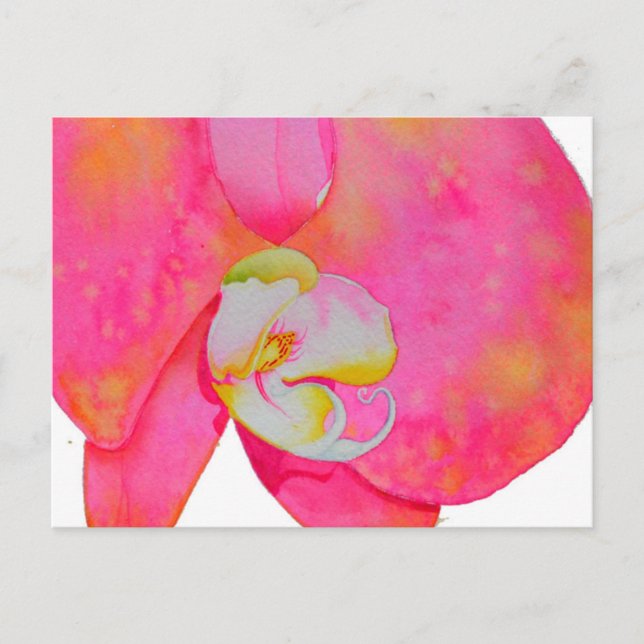 Pink watercolor Orchid painting Postcard (Front)