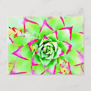 Pink Watercolor Succulent Postcard
