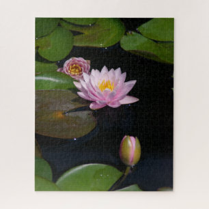 Pink Waterlilies Jigsaw Puzzle