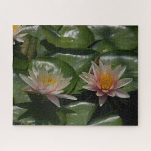 Pink Waterlilies Jigsaw Puzzle