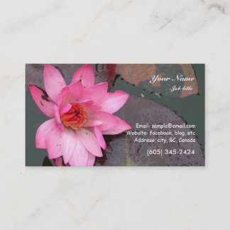 pink waterlily flower business card