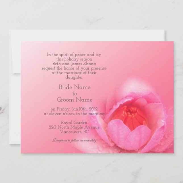 pink waterlily in pink background. 粉 红 色 睡 莲 。 invitation (Front)