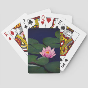 Pink Waterlily Lotus, Playing Cards