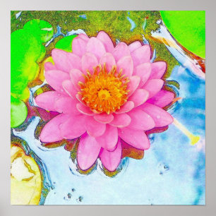 Pink Waterlily Poster