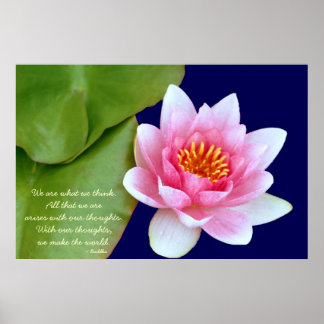 Pink Waterlily With Buddha Quote Poster