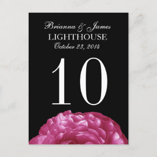 Pink White Black Rose  Wedding Table Number Card