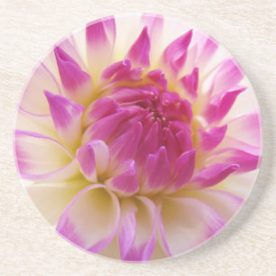Pink White Dahlia Flower drink coaster gifts