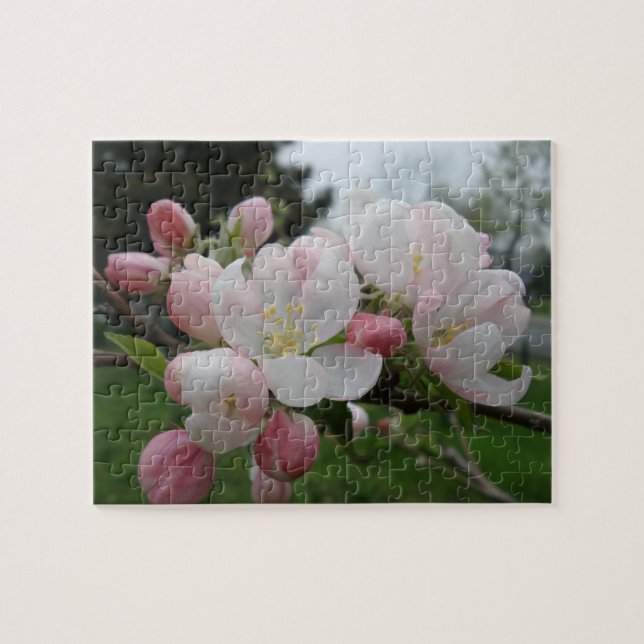 Pink White Flower Jigsaw Puzzle (Horizontal)