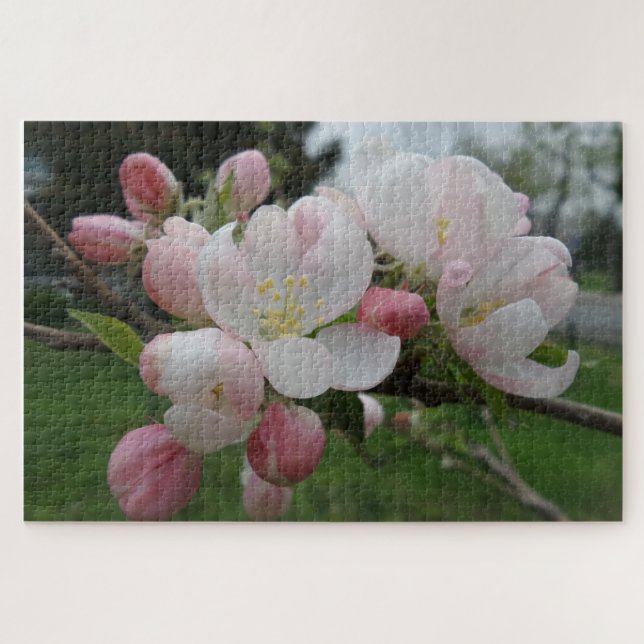 Pink & White Flower Jigsaw Puzzle (Horizontal)